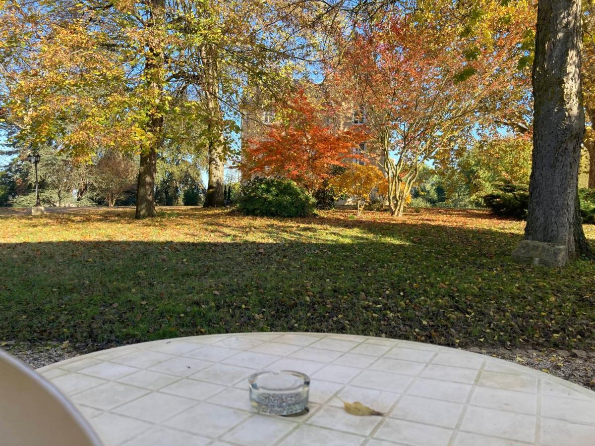 Orangerie Du Chateau Marith - Domaine Avec Piscine Clairac  Ruang foto