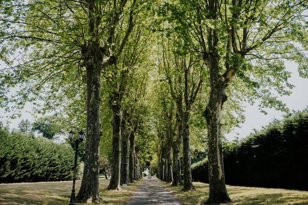 Orangerie Du Chateau Marith - Domaine Avec Piscine Clairac  Bagian luar foto